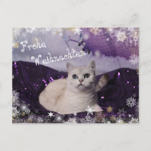 Purple XMAS Cats Holiday Postcard