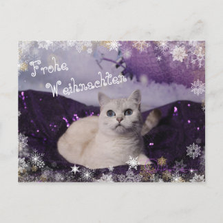 Purple XMAS Cats Holiday Postcard