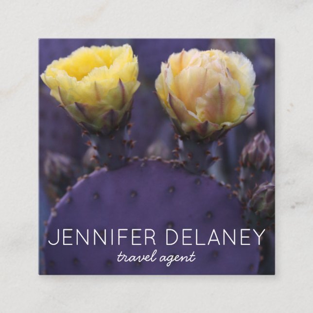 Purple Yellow Cactus Flowers Nature Photo Travel Square Business Card (Front)