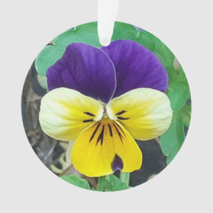 Purple & Yellow Pansy Acrylic Decoration