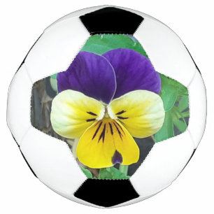 Purple & Yellow Pansy Football
