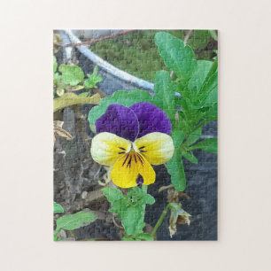 Purple & Yellow Pansy Jigsaw Puzzle