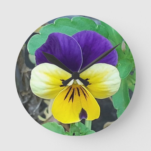 Purple & Yellow Pansy Round Clock (Front)