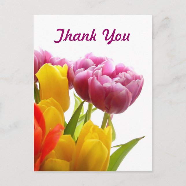 Purple & Yellow Tulips Thank You Postcards (Front)