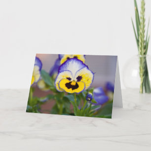 Purple,Yellow,White Pansy Greeting Card