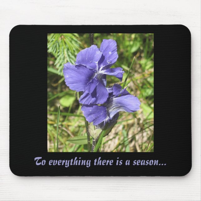 PurpleFlower, To everything there is a season... Mouse Mat (Front)