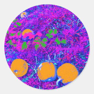 Purplish Pumpkin Field in Pop Art Style Classic Round Sticker
