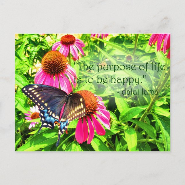 Purpose of Life Happy Black Swallowtail Butterfly Postcard (Front)