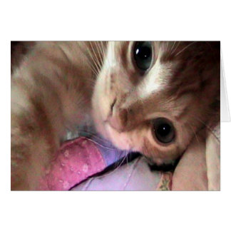 Purr-C Blue Eyes Card