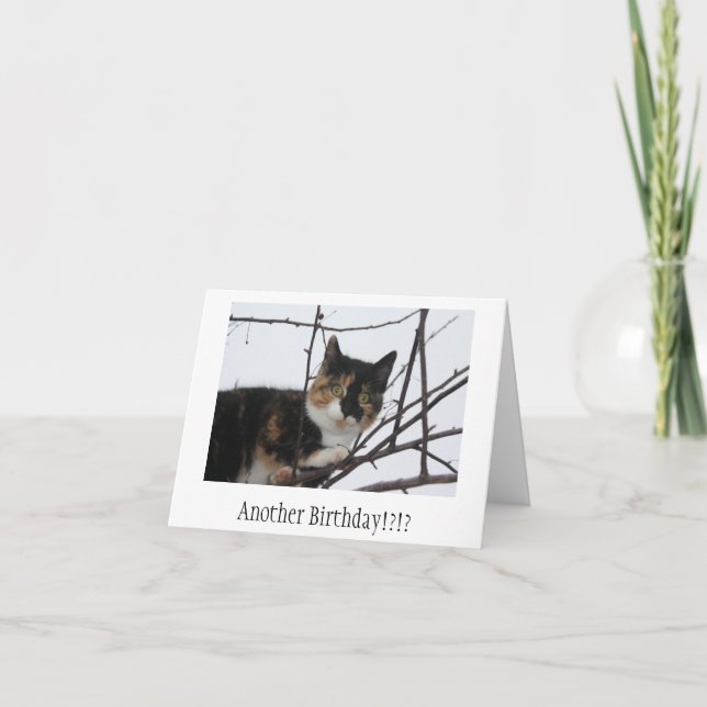 Purr-fect Birthday Card (Front)