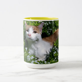 Purr-fect Coffee Cup