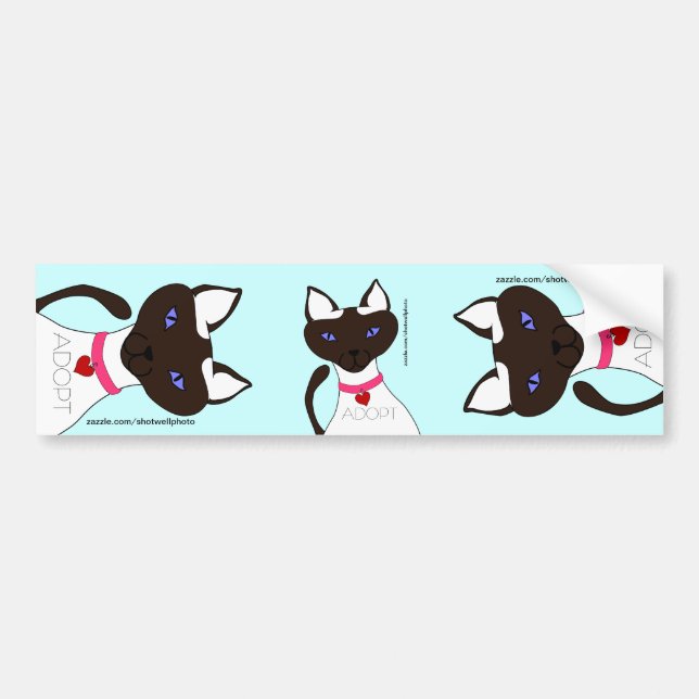 Purr-fect Moira ADOPT Aqua 3-way Bumper Sticker (Front)