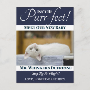 "Purr-fect" New Cat Announcement Postcard