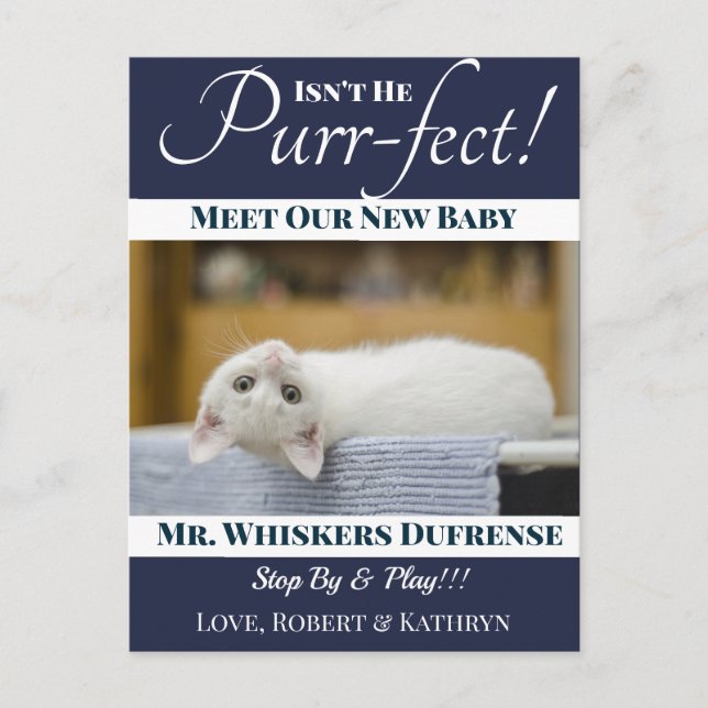 "Purr-fect" New Cat Announcement Postcard (Front)