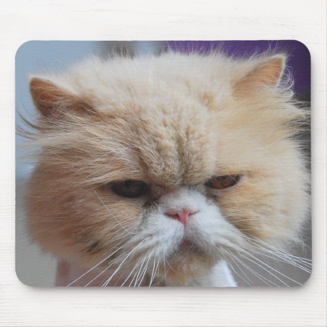 Purr-fect Persian Mousepad (Front)