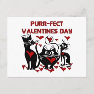 Purr-fect Valentines Day Holiday Postcard