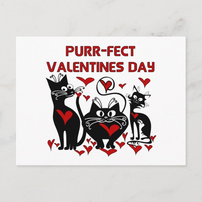 Purr-fect Valentines Day Holiday Postcard (Front)