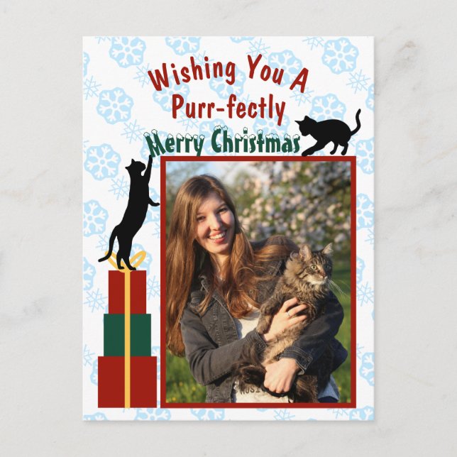 Purr-fectly Merry Christmas Playful Kitties Photo Holiday Postcard (Front)