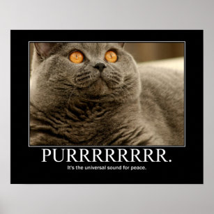 Purr is the universal sound for peace Artwork Poster