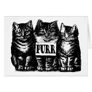 Purr Kittens