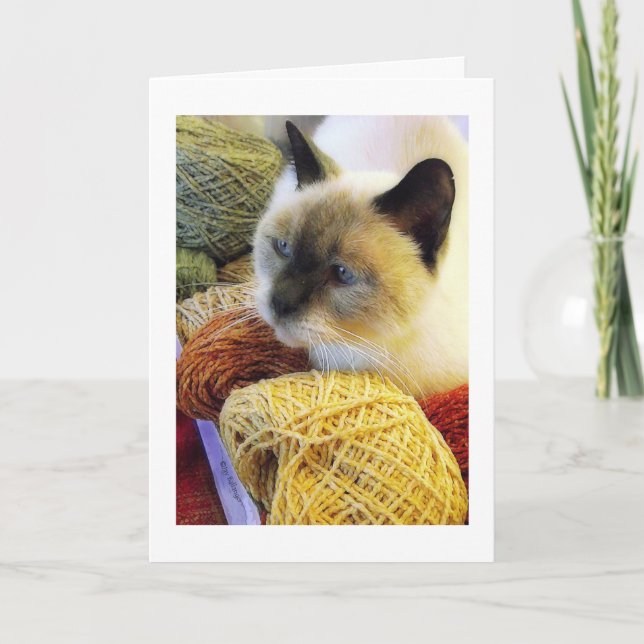 Purrfect Birthday, Siamese Cat in Yarn Card (Front)