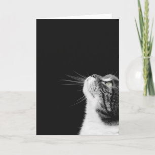 Purrfect Card