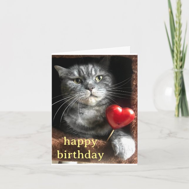 Purrfect Card (Front)