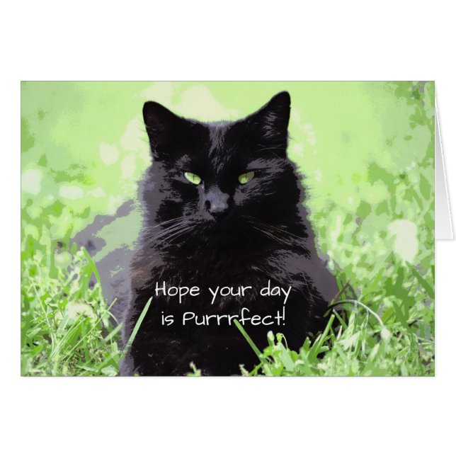 Purrfect Cat Birthday Card (Front Horizontal)