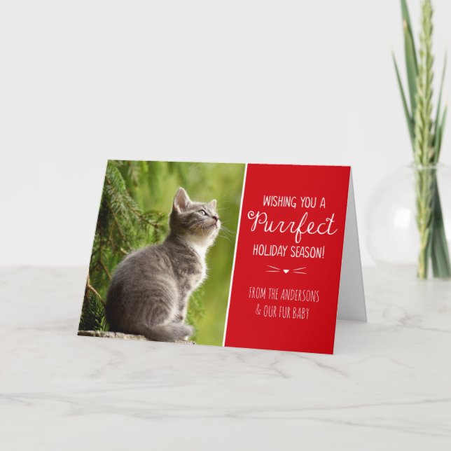 Purrfect Cat Theme Holiday Photo Card (Front)