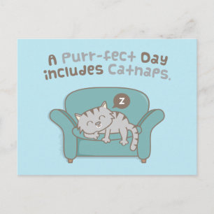 Purrfect Day with Catnaps Cat Pun Humour Postcard
