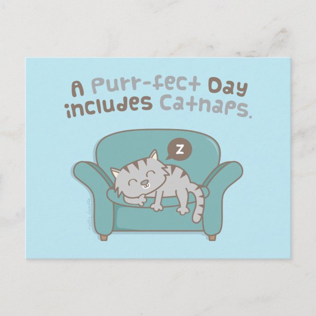 Purrfect Day with Catnaps Cat Pun Humour Postcard (Front)