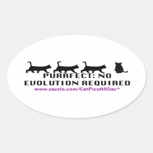 Purrfect Evolution Promo Sticker