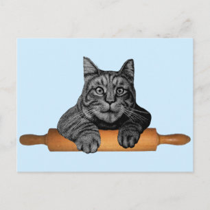purrfect funny baker cat postcard