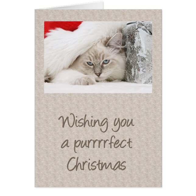 Purrfect Kitty Christmas (Front)