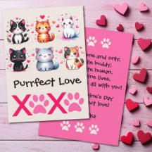 Purrfect Love Cute Cat Themed Valentine