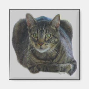 Purrfect magnet