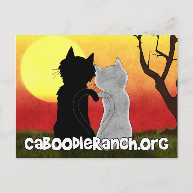 'Purrfect' Postcard (Front)