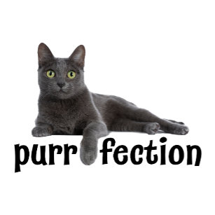 Purrfection Cat Chilling Out T-Shirt