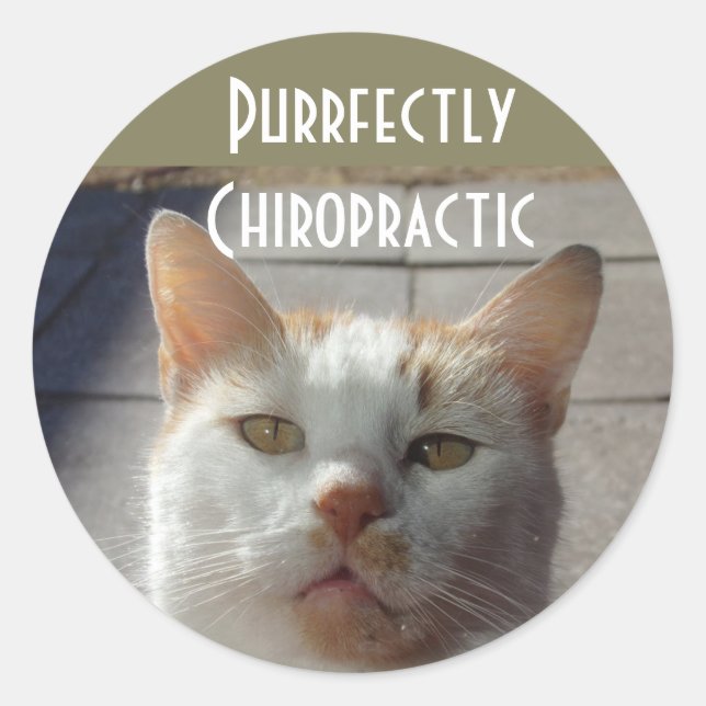 Purrfectly Chiropractic Stickers (Front)