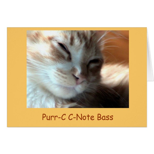 Purrfectly Purr-C, Purr-C C-Note Bass - Customised (Front Horizontal)