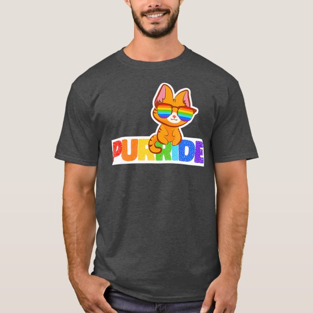 Purride Rainbow Flag Cat Funny Pride Kitten Gift T-Shirt (Front)