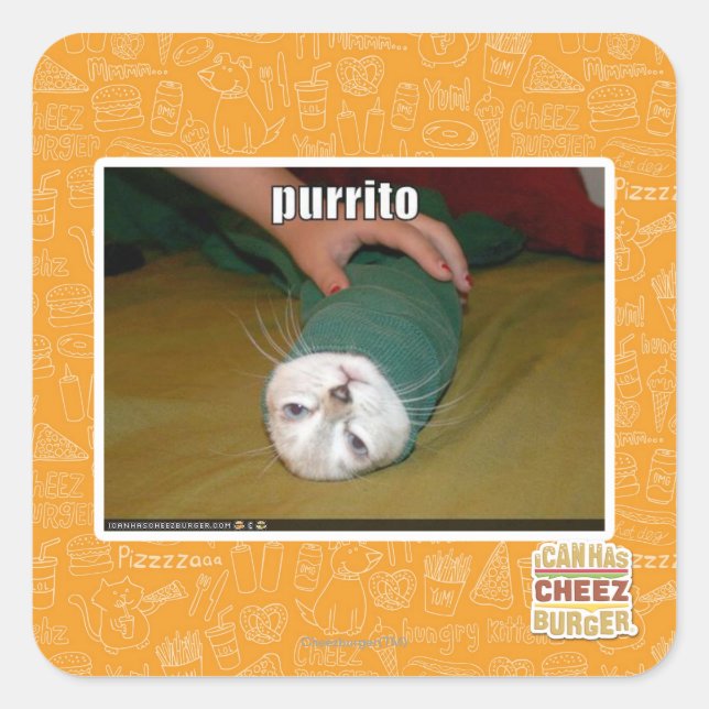 purrito square sticker (Front)