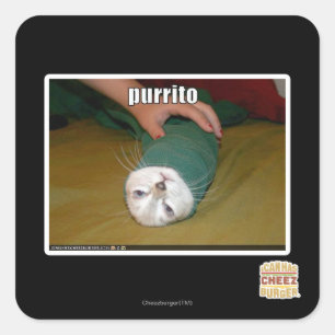purrito square sticker