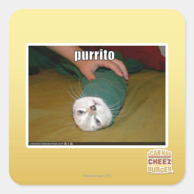 purrito square sticker (Front)
