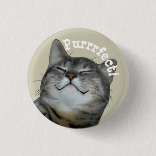 Purrrfect Smiling smug kitty cat 3 Cm Round Badge