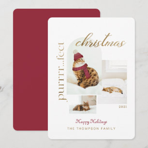 Purrrr..fect Christmas Fun & Cosy Cat Three Photo Holiday Card
