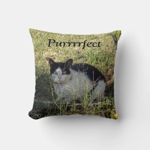 Purrrrfect Black And White Cat, Cushion