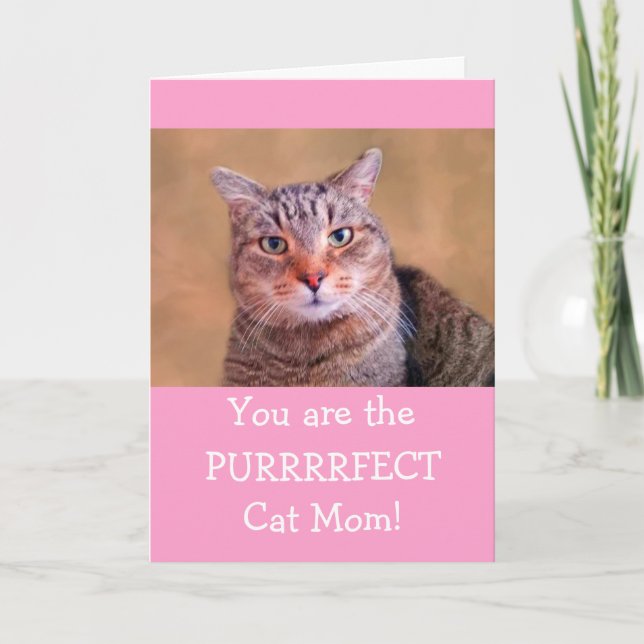 Purrrrfect Cat Mum Mother's Day Holiday Card (Front)