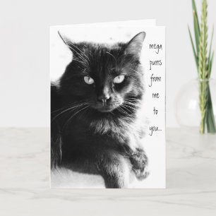 PURRS FROM ME TO YOU, black cat note cards
