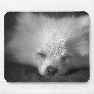 push off... i iz havin' a break mousemat